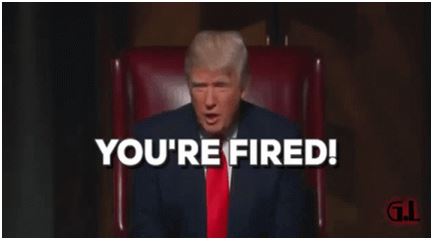 Donald Trump Youre Fired GIF - Donald Trump Trump Youre Fired GIFs